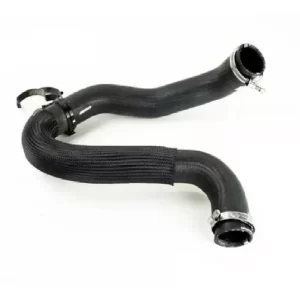 Mangueira Saída Do Intercooler - Peugeot Expert / Citroen Jumpy (1.5 e 1.6 Turbo Diesel) - 9806788380 - Imagem 3