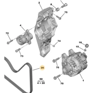 Correia do Alternador do Motor 1.6 16V - Peugeot 2008 / 208 / Citroën C3 / C4 Cactus - 9821858280 - Imagem 6
