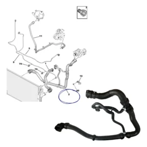 Mangueira Inferior do Radiador 1.5 Peugeot Expert / Citroën Jumpy de 2022 a 2024 - 9845755380 - Imagem 5