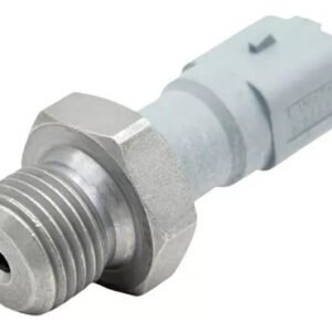 Interruptor Cebolinha Pressão Óleo Peugeot 2008 / 206 / 207 / 208 / 306 / 307 / 308 / 405 / 407 / 408 / 806 / 807 / Expert / Hoggar / Partner / Citroën Aircross / Berlingo / C2 / C3 / C3 Picasso / C4 / C4 Cactus / C4 Lounge / C4 Pallas / C4 Picasso / C5 / C6 / C8 / Evasion / Jumper / Jumpy / Xantia / Xsara - 1131C5 - Imagem 1