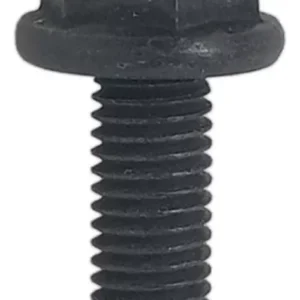 Parafuso da Polia do Comando de Válvulas - Peugeot Expert / Citroën Jumpy - 1682801980 - Imagem 1